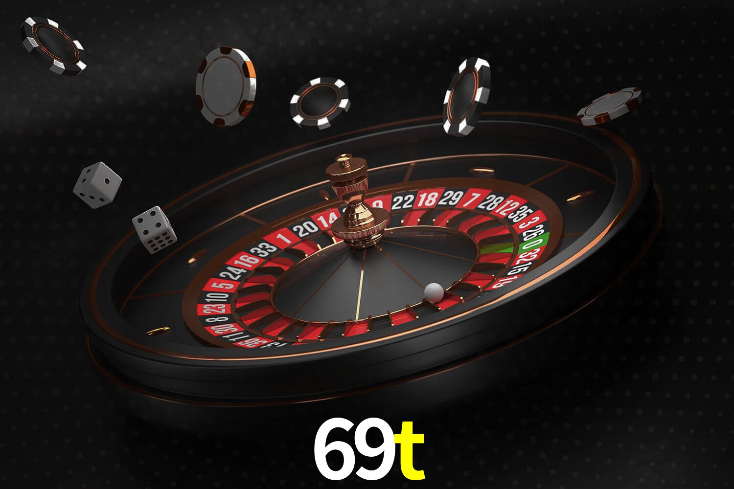 69t.com